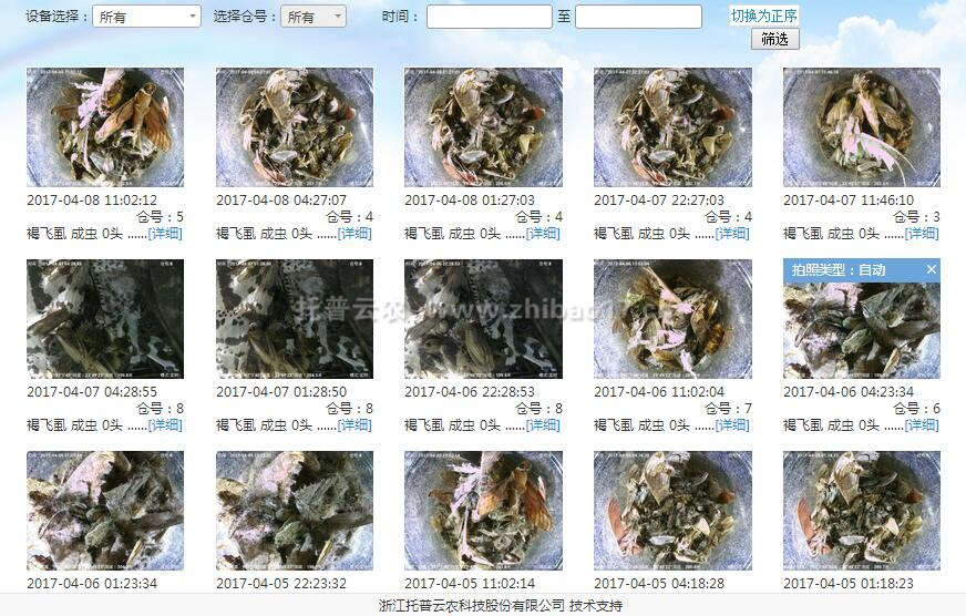 實(shí)時(shí)蟲情查看